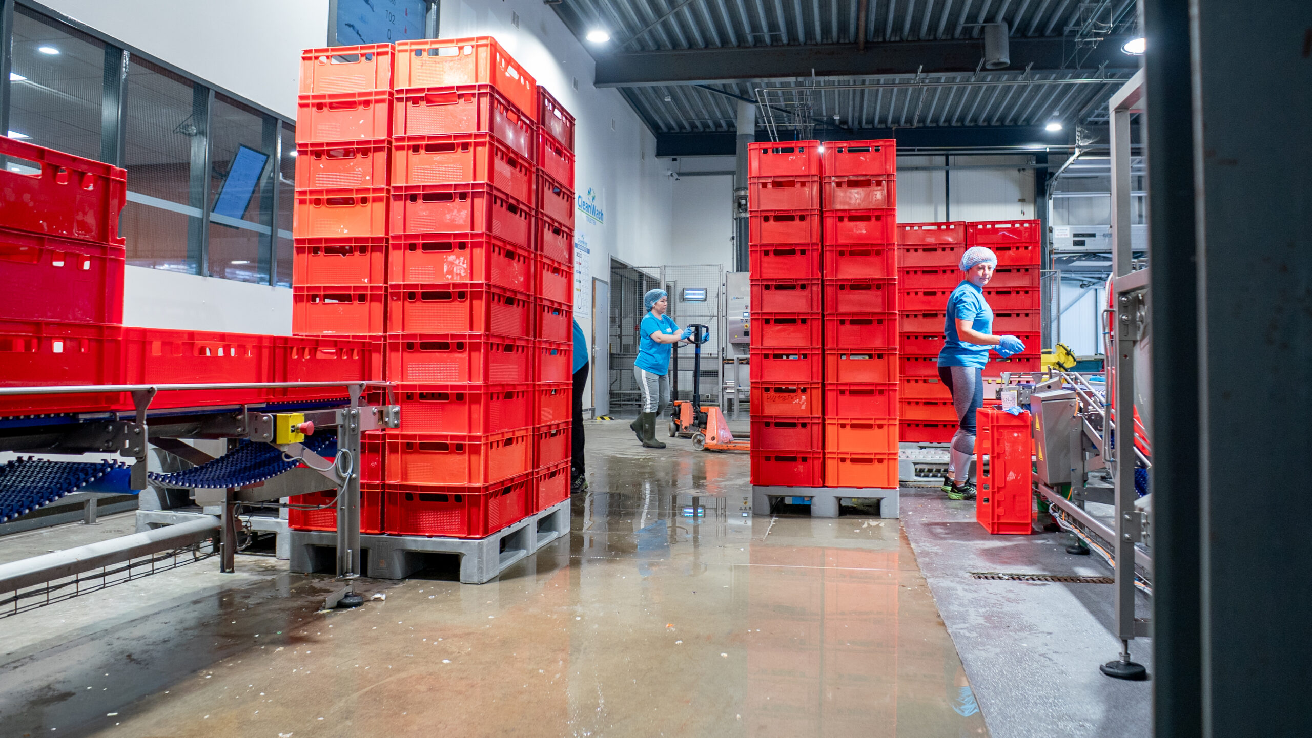 CleanWash - Kratten wasserij - Hoogeveen - Drenthe - Noord-Nederland