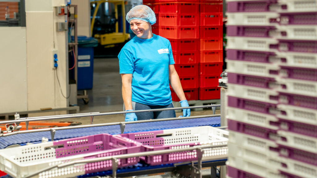 CleanWash - Kratten wasserij - Hoogeveen - Drenthe - Noord-Nederland - VHC Actifood